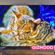 Illustration for article titled I Will Be Forever Ruined by This Incredible 8K OLED—That Also Costs $20,000